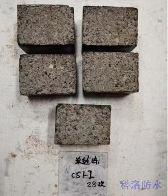 自制-CS1-2 28次循環(huán)。